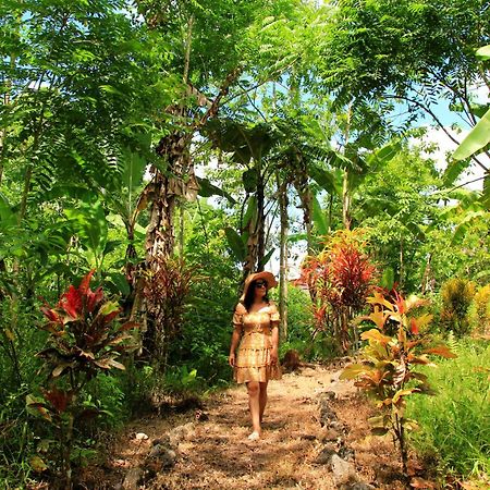 Natura Gardens Galapagos Bellavista  Exterior foto