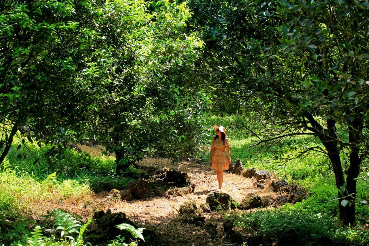 Natura Gardens Galapagos Bellavista  Exterior foto