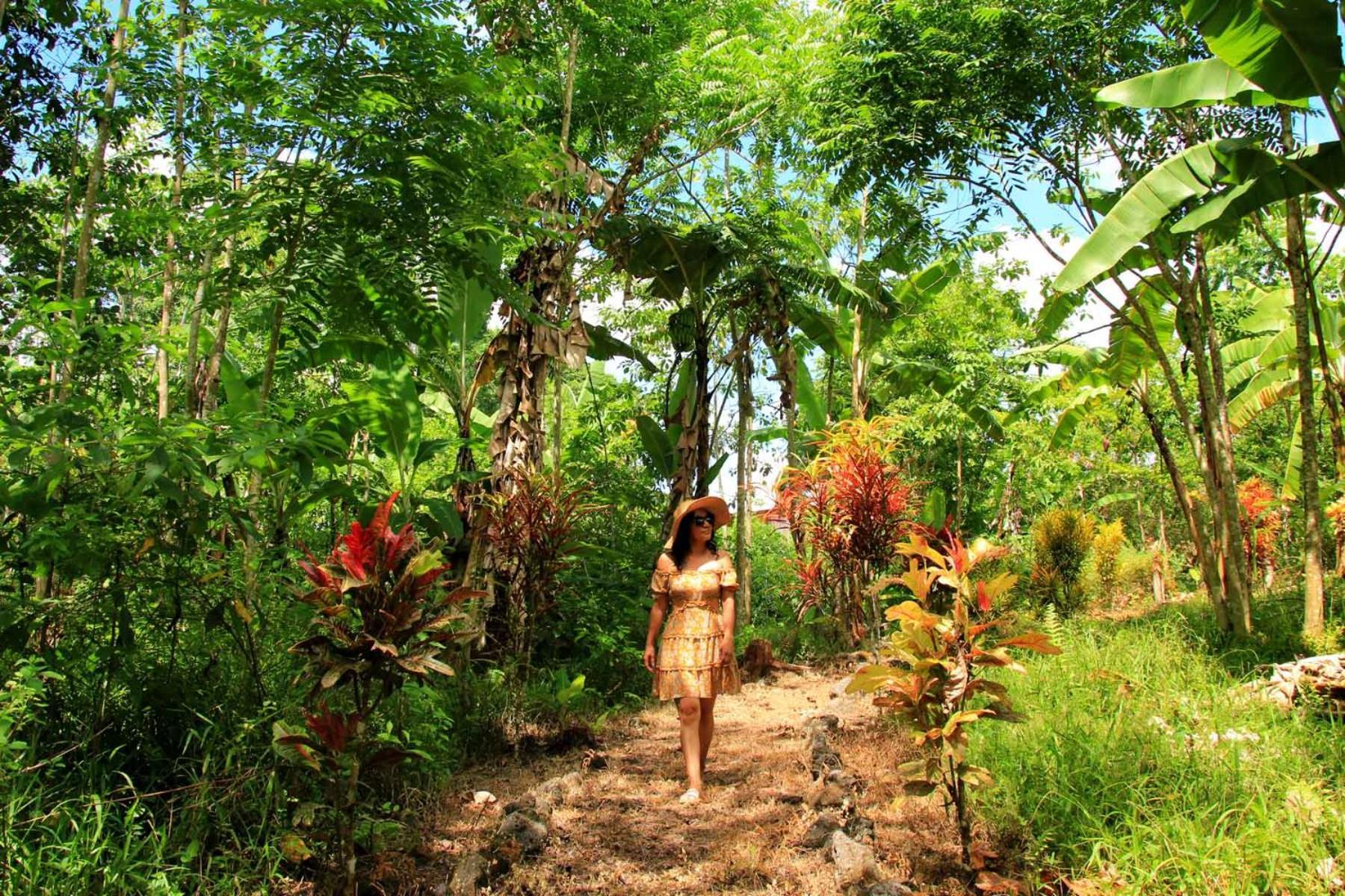 Natura Gardens Galapagos Bellavista  Exterior foto